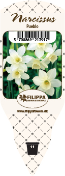 VIOLA CORNUTA BLACK JACK 9Ø Ø9