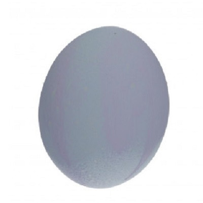 Egg Ostrich d11*16cm plastic H=0