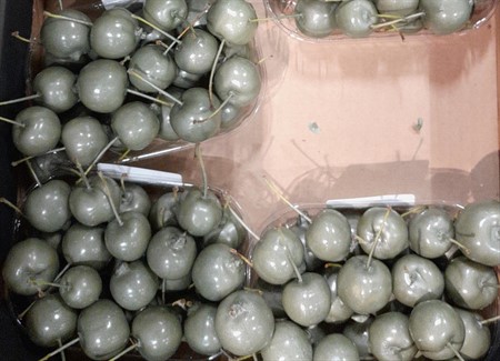 Waxmalus groen olijf metalic
