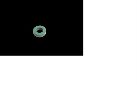 Oasis Foam Frames Ring 20cm x2, 8200