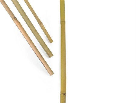 Bambukäpp 150cm 5/fp