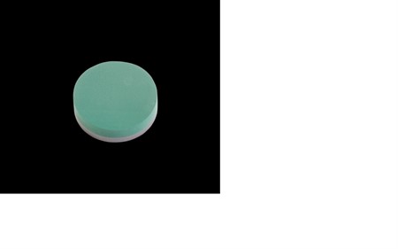 Oasis Foam Frames Posy Pads 25cm x2, 8246