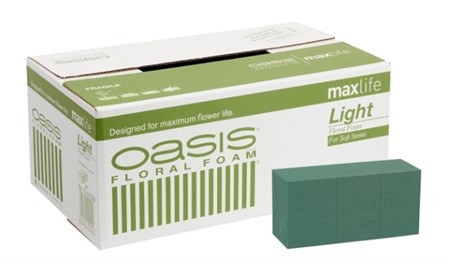 Oasis Light brick x20, 10-01029